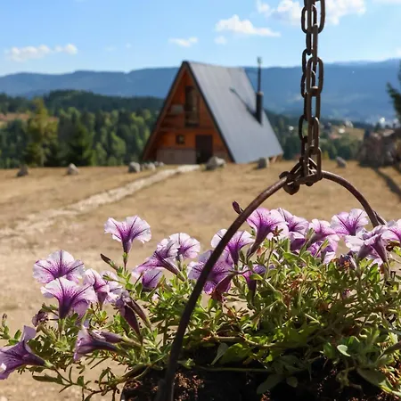 Vikendica Tromedja Brvnara